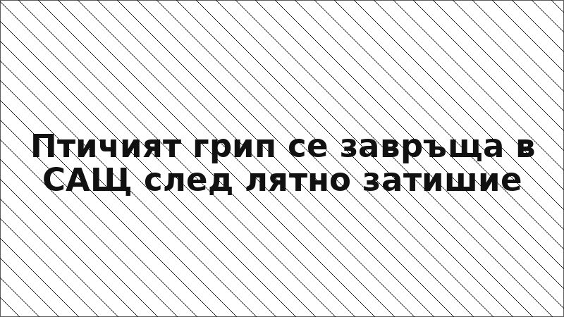 Птичият грип се завръща в САЩ след лятно затишие