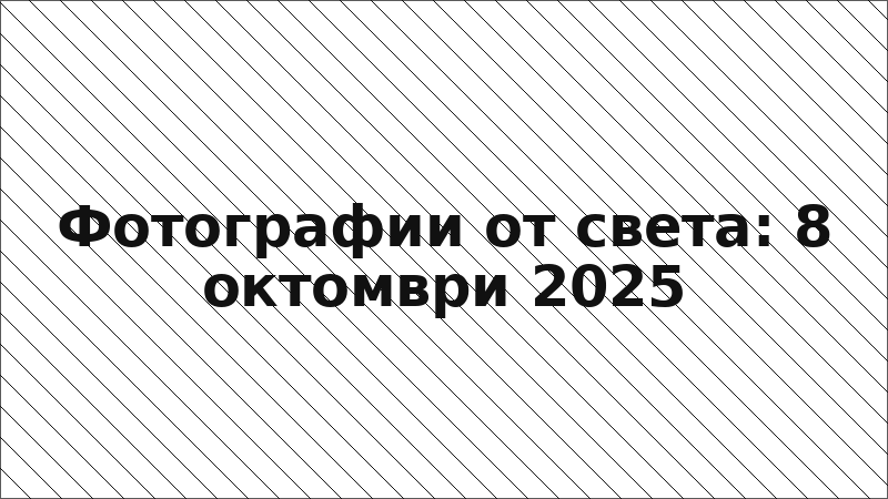 Фотографии от света: 8 октомври 2025