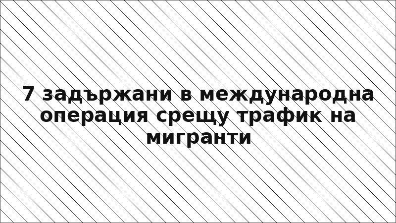 7 задържани в международна операция срещу трафик на мигранти