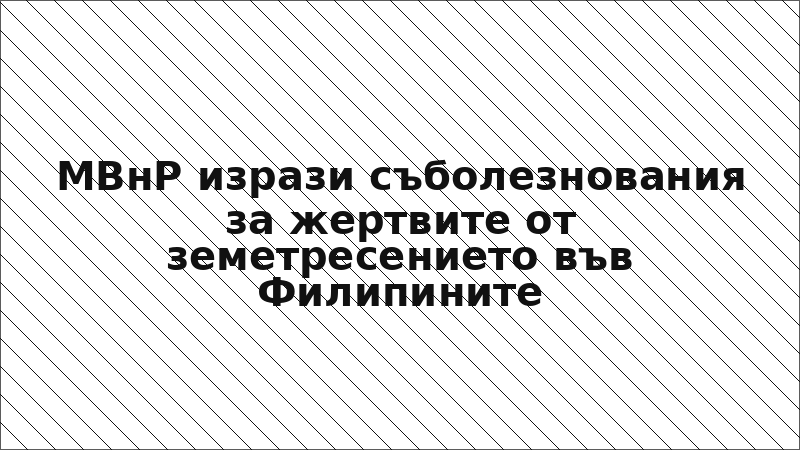 МВнР изрази съболезнования за жертвите от земетресението във Филипините