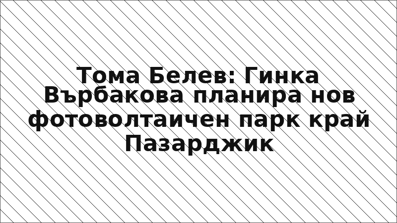 Тома Белев: Гинка Върбакова планира нов фотоволтаичен парк край Пазарджик