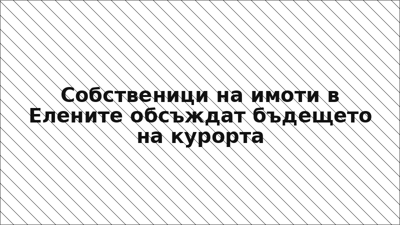 Собственици на имоти в Елените обсъждат бъдещето на курорта
