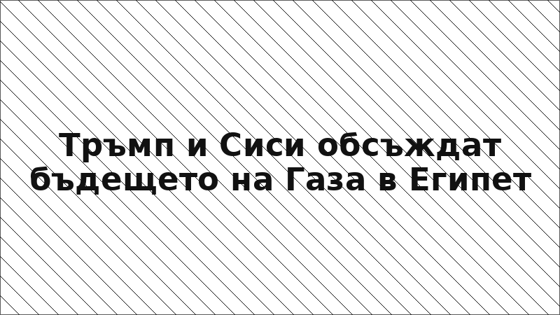 Тръмп и Сиси обсъждат бъдещето на Газа в Египет