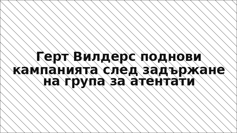 Герт Вилдерс поднови кампанията след задържане на група за атентати