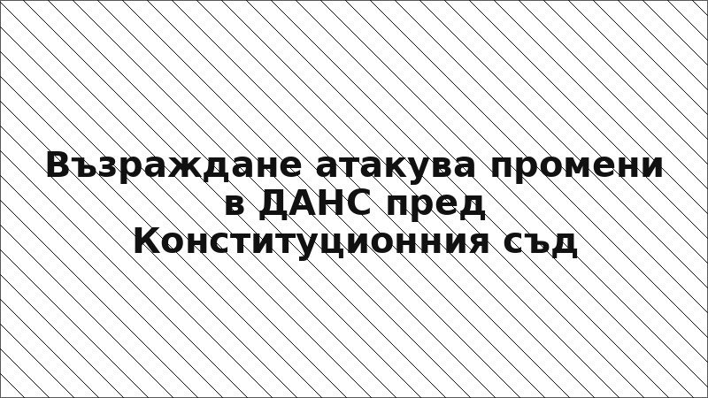 Възраждане атакува промени в ДАНС пред Конституционния съд
