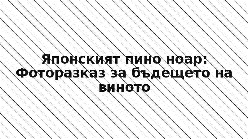 Японският пино ноар: Фоторазказ за бъдещето на виното