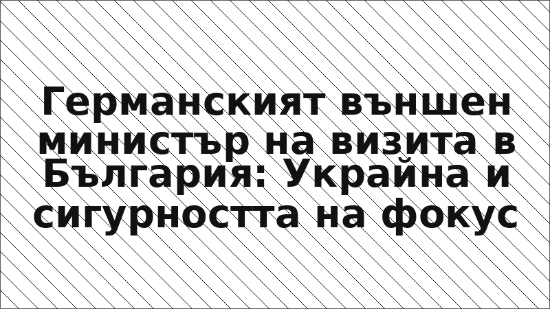 Германският външен министър на визита в България: Украйна и сигурността на фокус