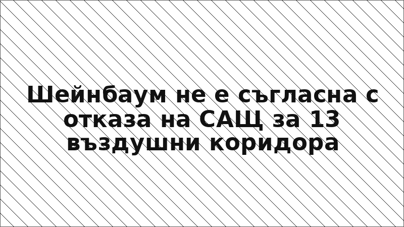 Шейнбаум не е съгласна с отказа на САЩ за 13 въздушни коридора