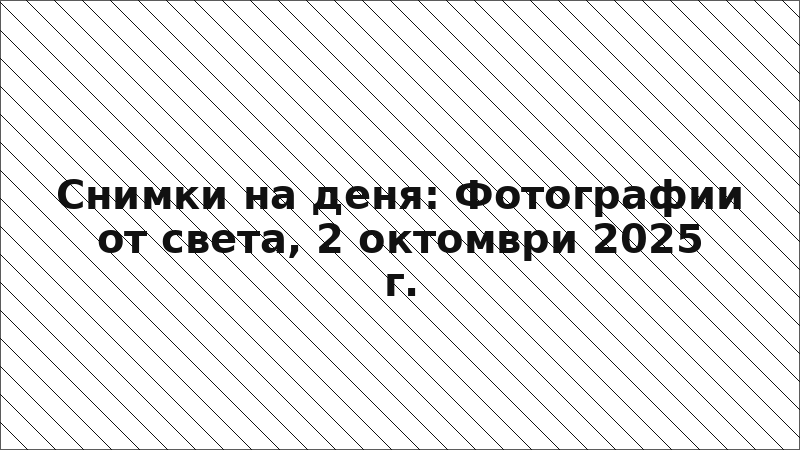 Снимки на деня: Фотографии от света, 2 октомври 2025 г.