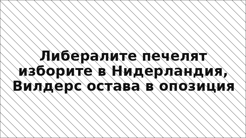 Либералите печелят изборите в Нидерландия, Вилдерс остава в опозиция