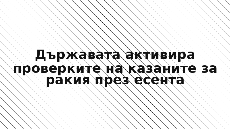 Държавата активира проверките на казаните за ракия през есента