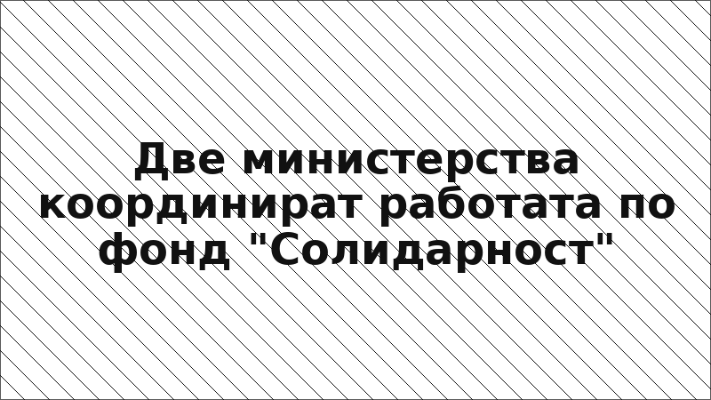 Две министерства координират работата по фонд "Солидарност"