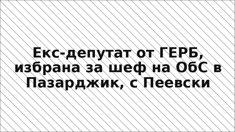 Екс-депутат от ГЕРБ, избрана за шеф на ОбС в Пазарджик, с Пеевски