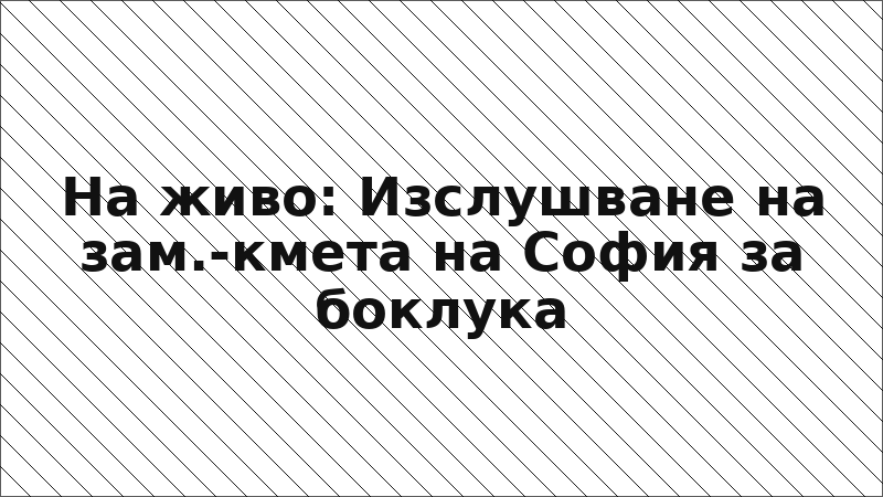 На живо: Изслушване на зам.-кмета на София за боклука