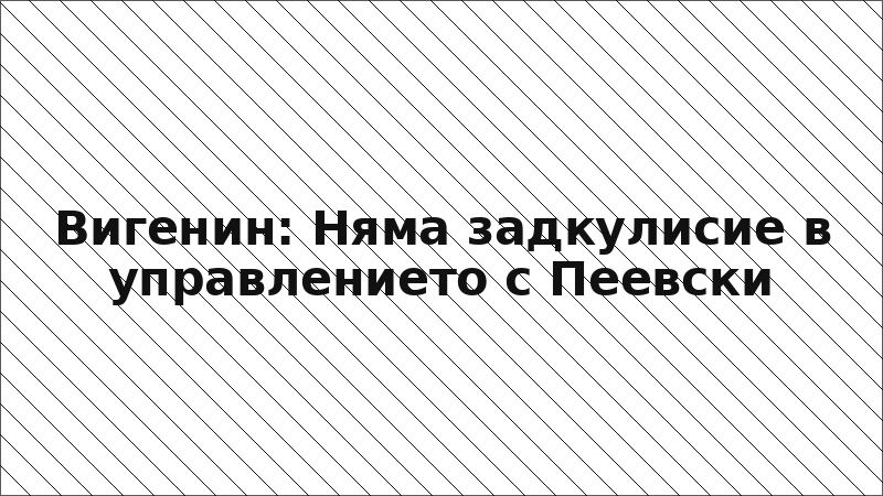 Вигенин: Няма задкулисие в управлението с Пеевски