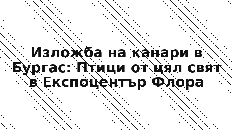 Изложба на канари в Бургас: Птици от цял свят в Експоцентър Флора