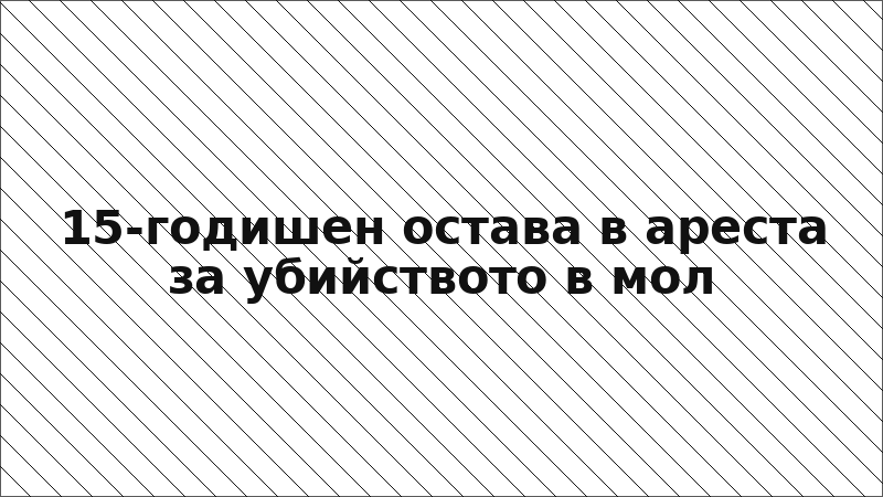 15-годишен остава в ареста за убийството в мол