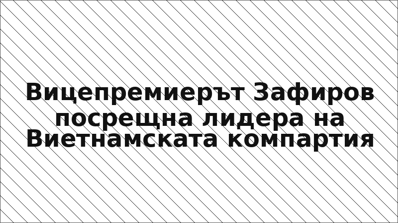 Вицепремиерът Зафиров посрещна лидера на Виетнамската компартия