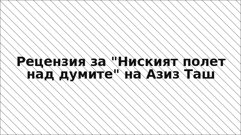 Рецензия за "Ниският полет над думите" на Азиз Таш