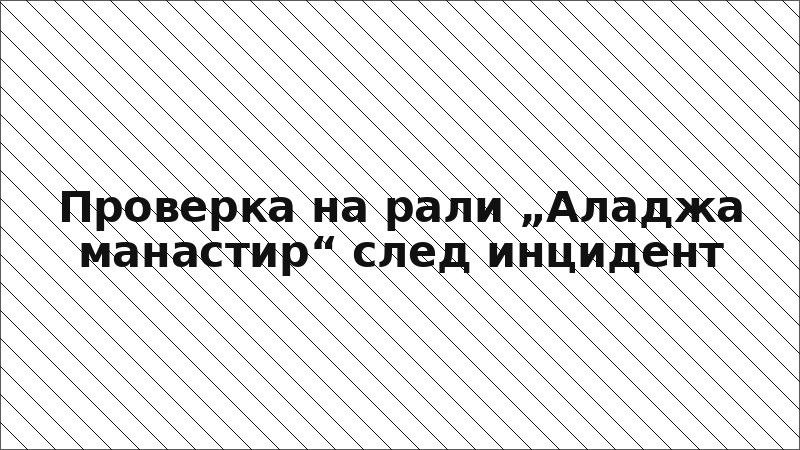 Проверка на рали „Аладжа манастир“ след инцидент