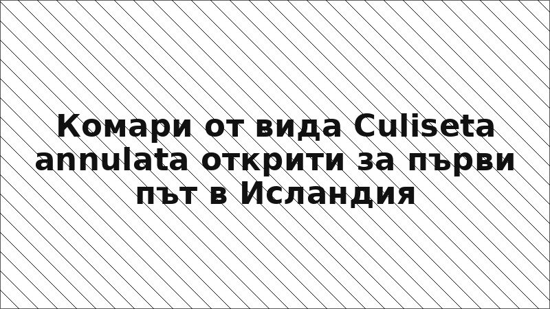 Комари от вида Culiseta annulata открити за първи път в Исландия