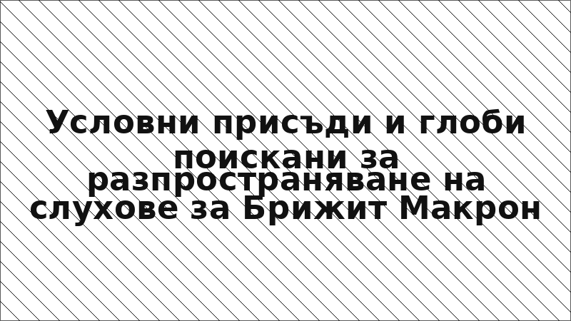 Условни присъди и глоби поискани за разпространяване на слухове за Брижит Макрон