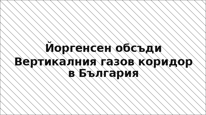 Йоргенсен обсъди Вертикалния газов коридор в България