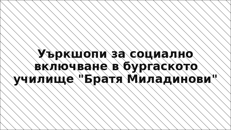 Уъркшопи за социално включване в бургаското училище "Братя Миладинови"
