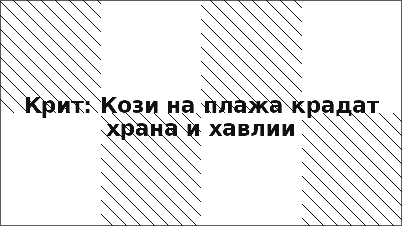Крит: Кози на плажа крадат храна и хавлии
