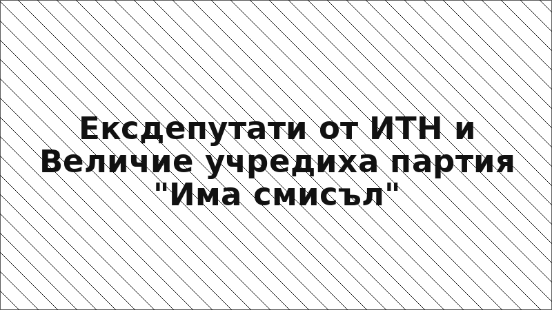Ексдепутати от ИТН и Величие учредиха партия "Има смисъл"