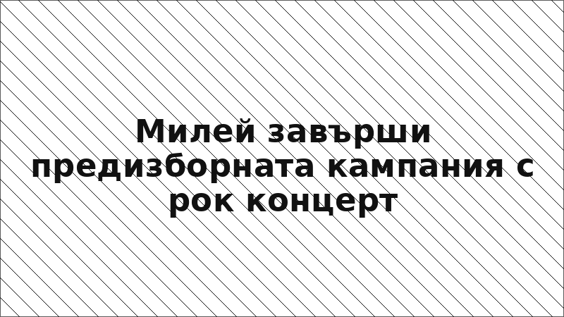 Милей завърши предизборната кампания с рок концерт