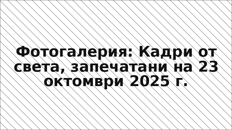 Фотогалерия: Кадри от света, запечатани на 23 октомври 2025 г.