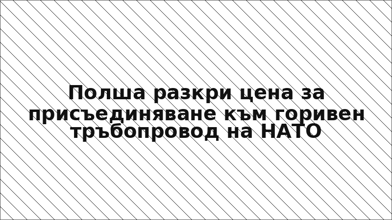 Полша разкри цена за присъединяване към горивен тръбопровод на НАТО