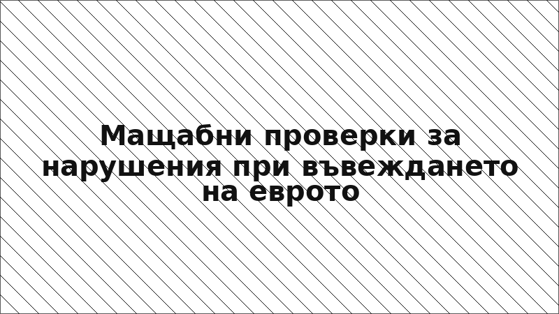 Мащабни проверки за нарушения при въвеждането на еврото