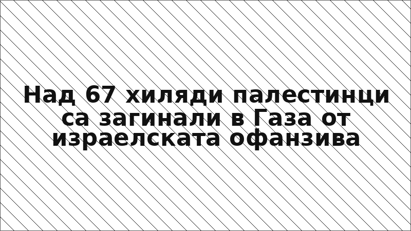 Над 67 хиляди палестинци са загинали в Газа от израелската офанзива