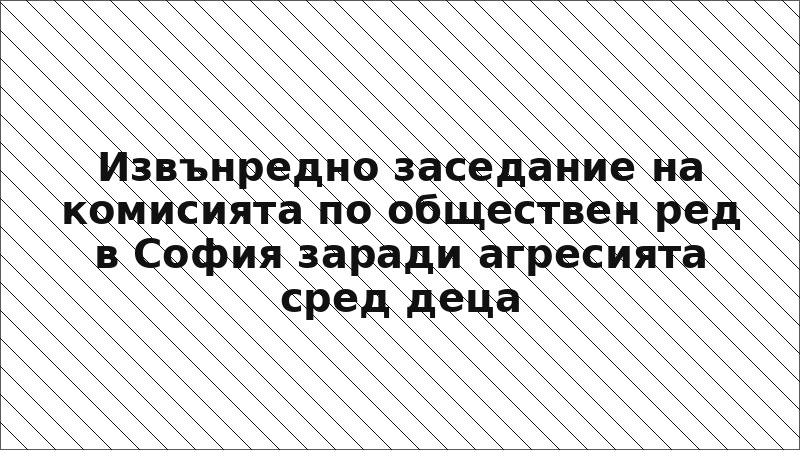 Извънредно заседание на комисията по обществен ред в София заради агресията сред деца