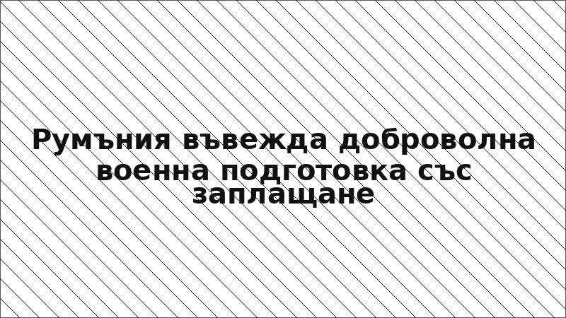 Румъния въвежда доброволна военна подготовка със заплащане