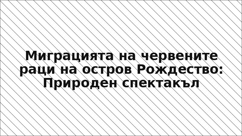 Миграцията на червените раци на остров Рождество: Природен спектакъл