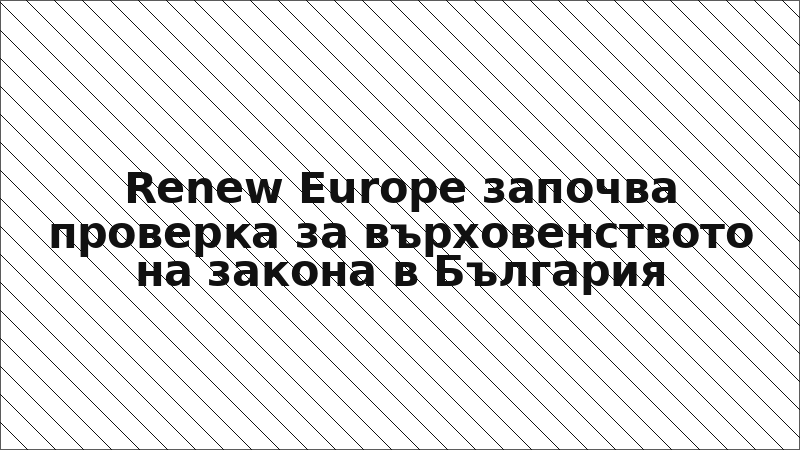Renew Europe започва проверка за върховенството на закона в България