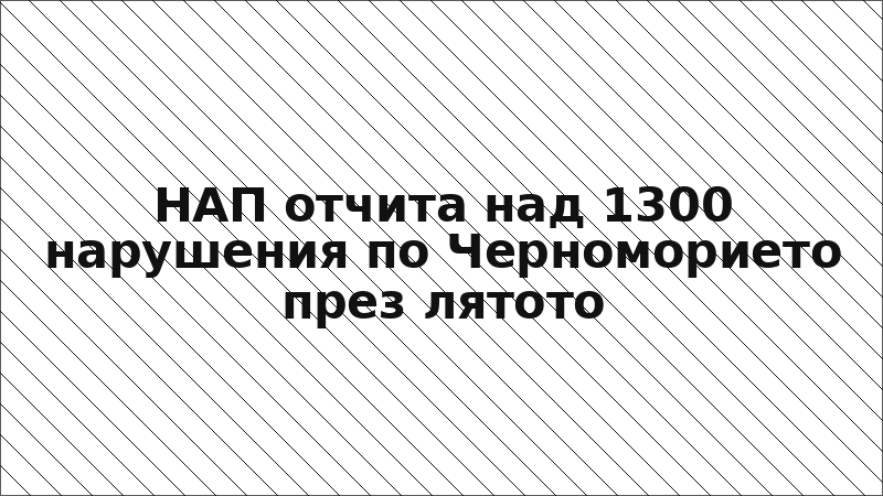 НАП отчита над 1300 нарушения по Черноморието през лятото