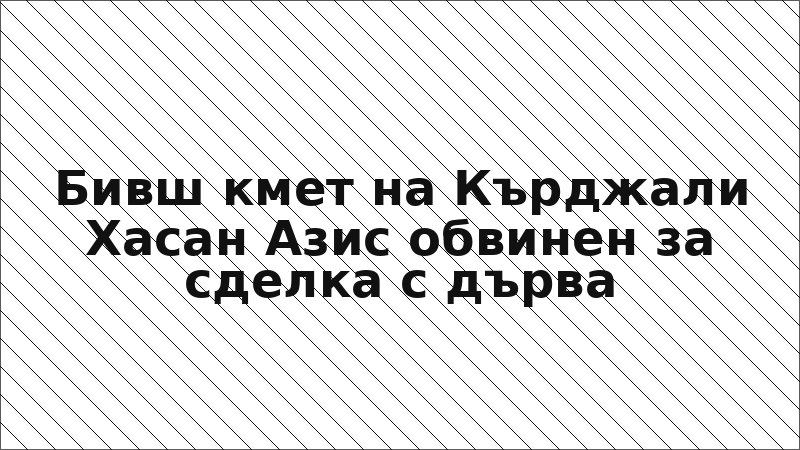Бивш кмет на Кърджали Хасан Азис обвинен за сделка с дърва