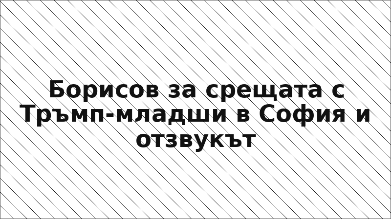 Борисов за срещата с Тръмп-младши в София и отзвукът