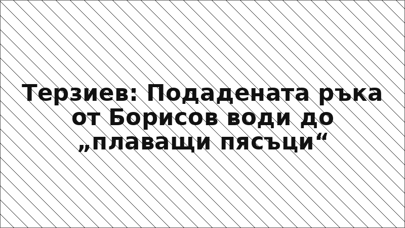 Терзиев: Подадената ръка от Борисов води до „плаващи пясъци“