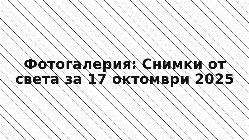 Фотогалерия: Снимки от света за 17 октомври 2025