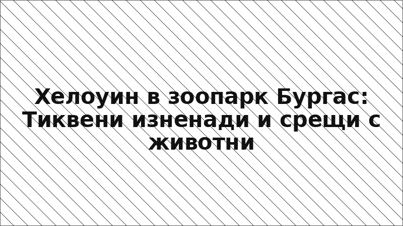 Хелоуин в зоопарк Бургас: Тиквени изненади и срещи с животни