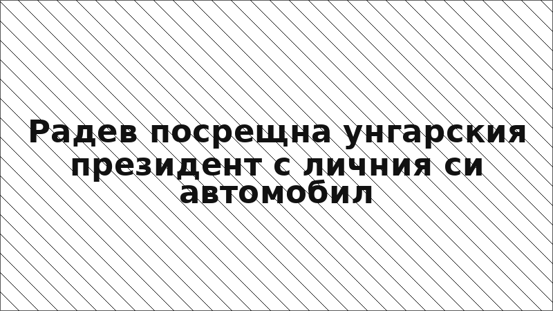 Радев посрещна унгарския президент с личния си автомобил