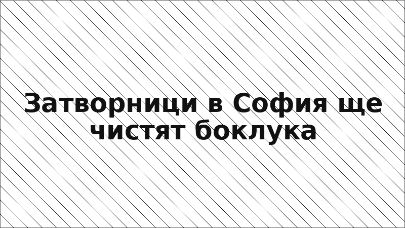 Затворници в София ще чистят боклука