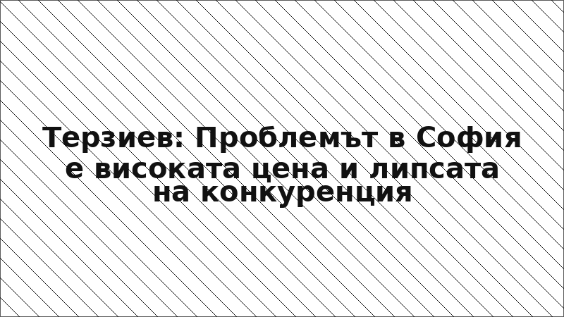 Терзиев: Проблемът в София е високата цена и липсата на конкуренция