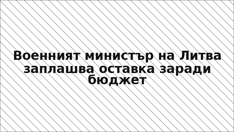 Военният министър на Литва заплашва оставка заради бюджет