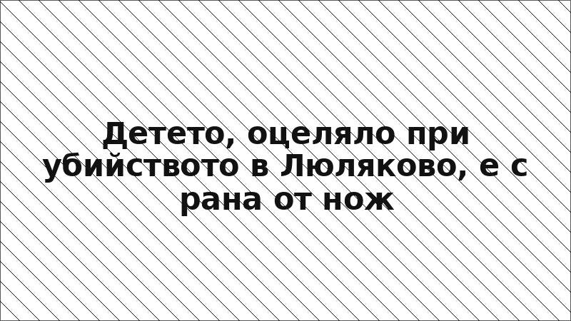 Детето, оцеляло при убийството в Люляково, е с рана от нож